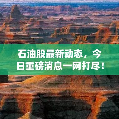 石油股最新動態(tài)，今日重磅消息一網(wǎng)打盡！