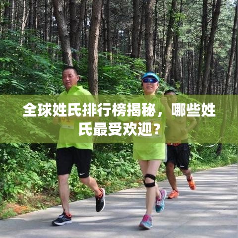 全球姓氏排行榜揭秘，哪些姓氏最受歡迎？