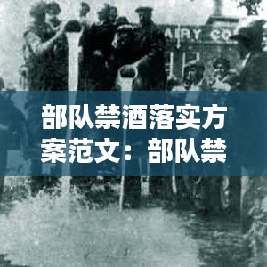 部隊禁酒落實方案范文：部隊禁酒令專題教育 