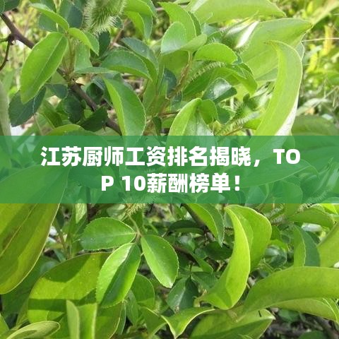 江蘇廚師工資排名揭曉，TOP 10薪酬榜單！