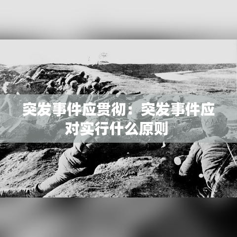 突發(fā)事件應(yīng)貫徹：突發(fā)事件應(yīng)對實(shí)行什么原則 