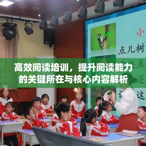 高效閱讀培訓(xùn)，提升閱讀能力的關(guān)鍵所在與核心內(nèi)容解析