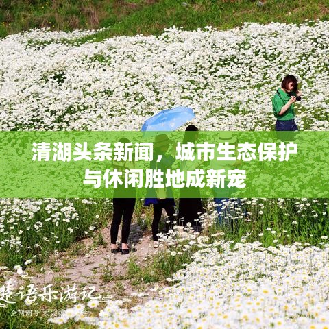 清湖頭條新聞，城市生態(tài)保護與休閑勝地成新寵