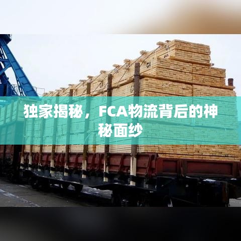 獨家揭秘，F(xiàn)CA物流背后的神秘面紗