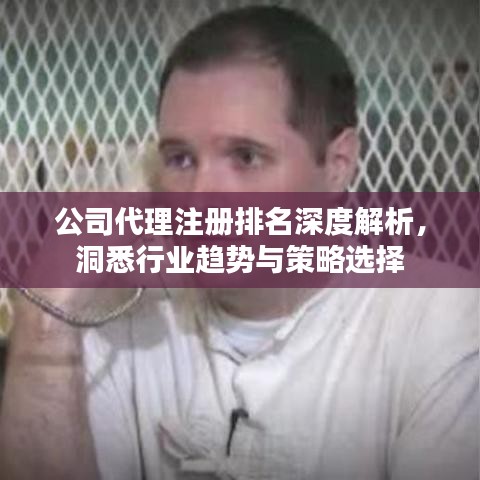 公司代理注冊排名深度解析，洞悉行業(yè)趨勢與策略選擇