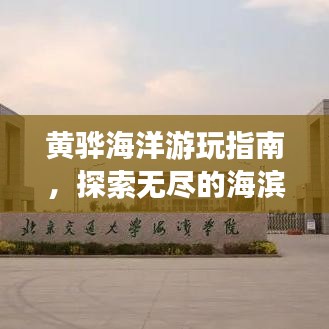 黃驊海洋游玩指南，探索無(wú)盡的海濱魅力！