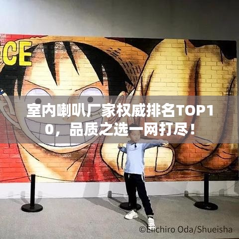 室內(nèi)喇叭廠家權(quán)威排名TOP10，品質(zhì)之選一網(wǎng)打盡！