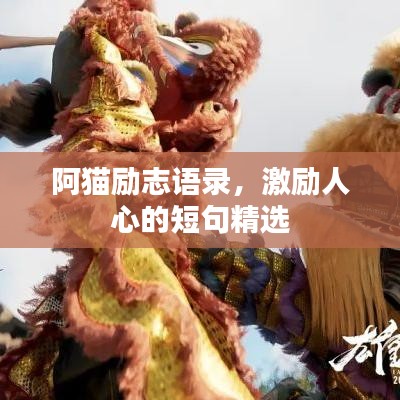 阿貓勵志語錄，激勵人心的短句精選