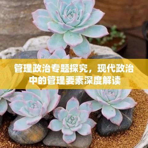 管理政治專題探究，現(xiàn)代政治中的管理要素深度解讀