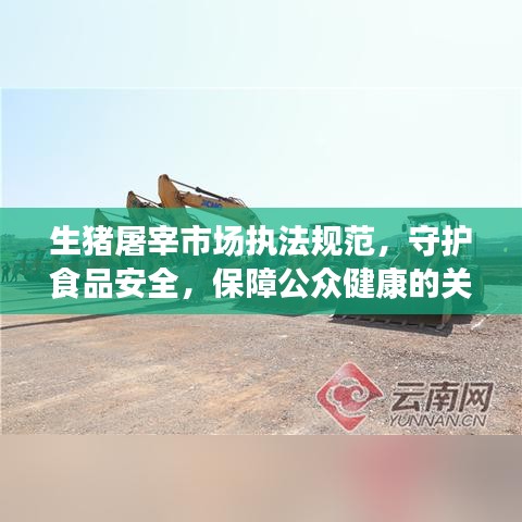 生豬屠宰市場(chǎng)執(zhí)法規(guī)范，守護(hù)食品安全，保障公眾健康的關(guān)鍵環(huán)節(jié)