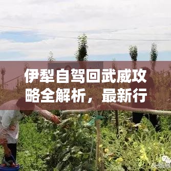 伊犁自駕回武威攻略全解析，最新行程推薦