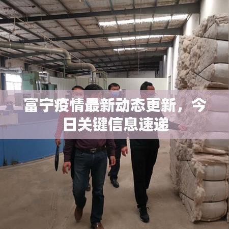 富寧疫情最新動態(tài)更新，今日關(guān)鍵信息速遞