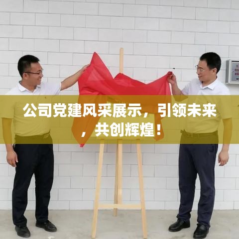 公司黨建風(fēng)采展示，引領(lǐng)未來，共創(chuàng)輝煌！