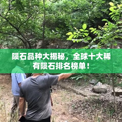 隕石品種大揭秘，全球十大稀有隕石排名榜單！