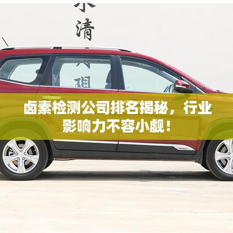 鹵素檢測(cè)公司排名揭秘，行業(yè)影響力不容小覷！