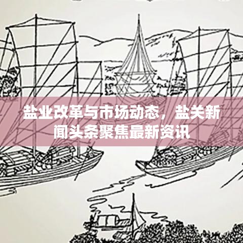 鹽業(yè)改革與市場(chǎng)動(dòng)態(tài)，鹽關(guān)新聞?lì)^條聚焦最新資訊