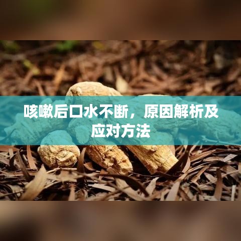 拋磚引玉 第3頁(yè)