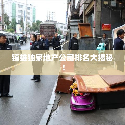 鎮(zhèn)雄獨(dú)家地產(chǎn)公司排名大揭秘！