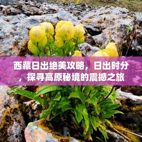 西藏日出絕美攻略，日出時分，探尋高原秘境的震撼之旅