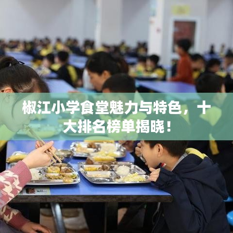 椒江小學(xué)食堂魅力與特色，十大排名榜單揭曉！