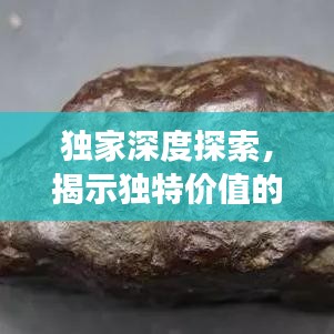 獨(dú)家深度探索，揭示獨(dú)特價(jià)值的奧秘之旅