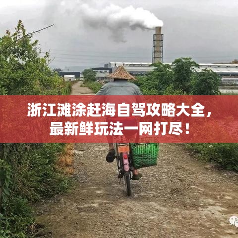 浙江灘涂趕海自駕攻略大全，最新鮮玩法一網(wǎng)打盡！