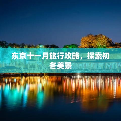 東京十一月旅行攻略，探索初冬美景