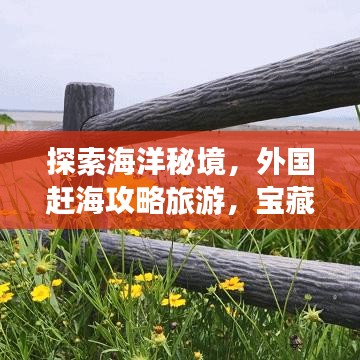 探索海洋秘境，外國趕海攻略旅游，寶藏之旅開啟！