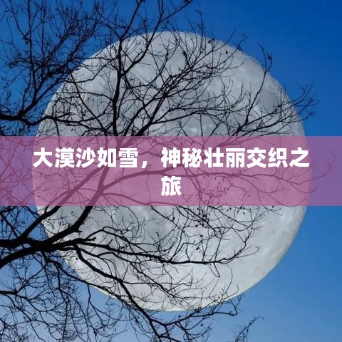 大漠沙如雪，神秘壯麗交織之旅