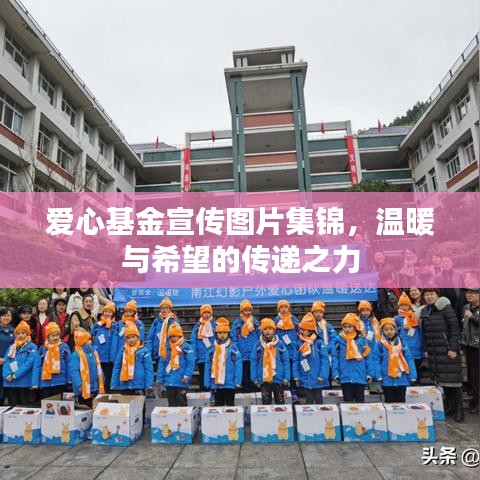 愛(ài)心基金宣傳圖片集錦，溫暖與希望的傳遞之力