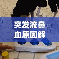 突發(fā)流鼻血原因解析，處理及預(yù)防措施全攻略