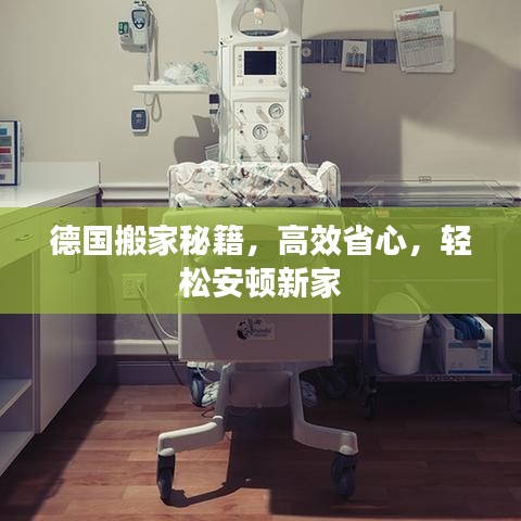 德國搬家秘籍，高效省心，輕松安頓新家