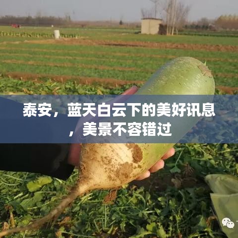泰安，藍(lán)天白云下的美好訊息，美景不容錯過