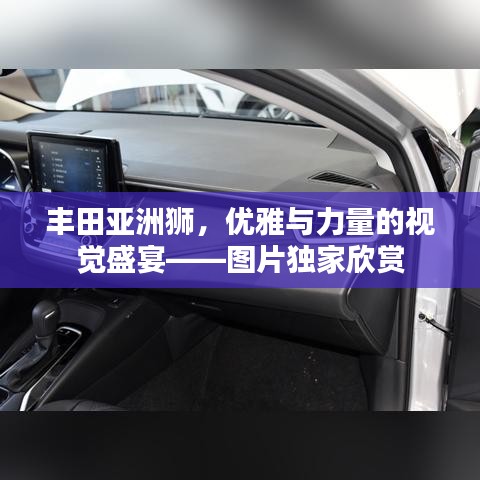 豐田亞洲獅，優(yōu)雅與力量的視覺盛宴——圖片獨家欣賞