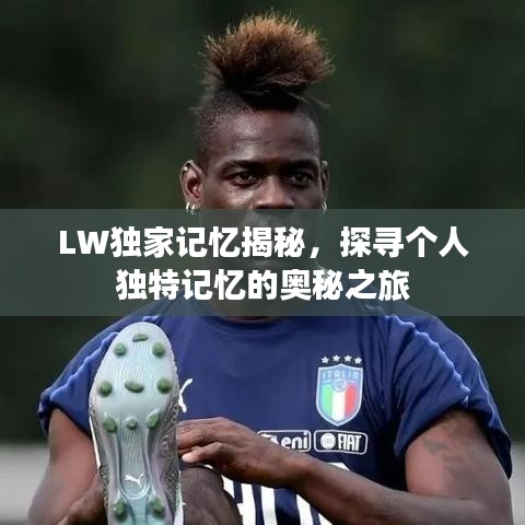 LW獨家記憶揭秘，探尋個人獨特記憶的奧秘之旅