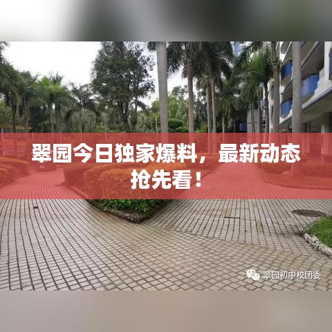 翠園今日獨家爆料，最新動態(tài)搶先看！
