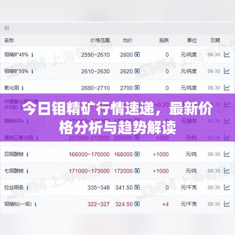 今日鉬精礦行情速遞，最新價格分析與趨勢解讀