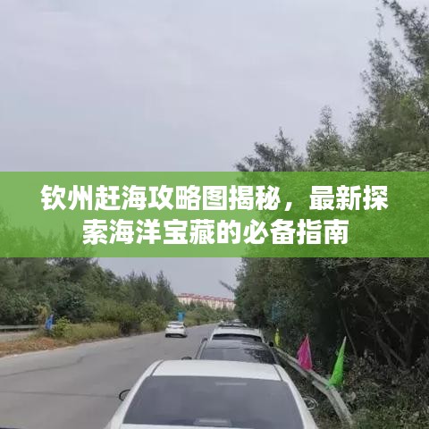 欽州趕海攻略圖揭秘，最新探索海洋寶藏的必備指南