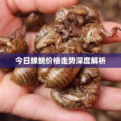 隨時隨地 第2頁