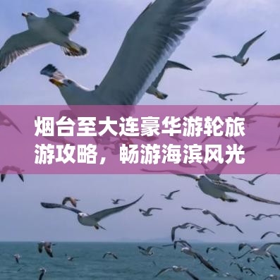 煙臺至大連豪華游輪旅游攻略，暢游海濱風(fēng)光，盡享海上盛宴！
