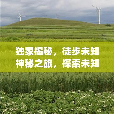 獨(dú)家揭秘，徒步未知神秘之旅，探索未知的極致體驗(yàn)
