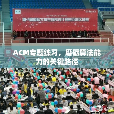 ACM專題練習，磨礪算法能力的關(guān)鍵路徑