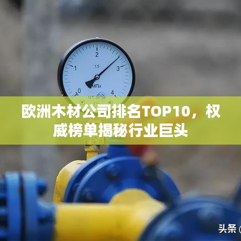 歐洲木材公司排名TOP10，權(quán)威榜單揭秘行業(yè)巨頭