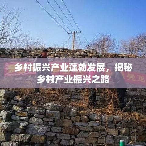 鄉(xiāng)村振興產(chǎn)業(yè)蓬勃發(fā)展，揭秘鄉(xiāng)村產(chǎn)業(yè)振興之路