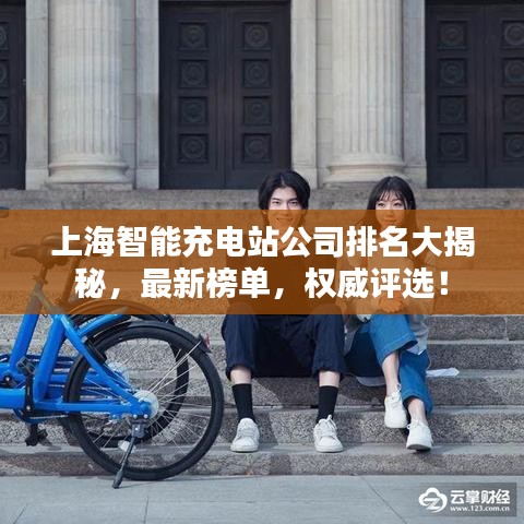 上海智能充電站公司排名大揭秘，最新榜單，權(quán)威評選！