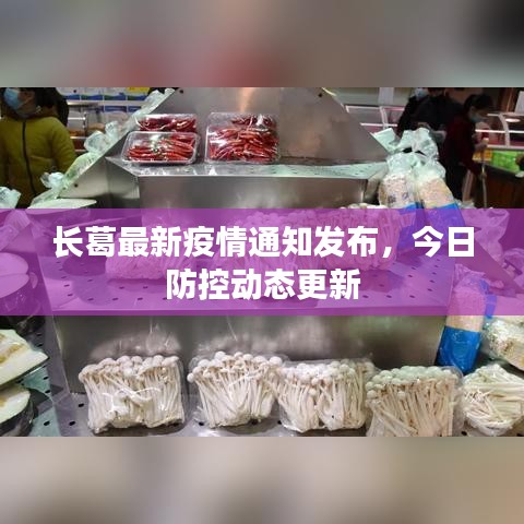 長葛最新疫情通知發(fā)布，今日防控動態(tài)更新