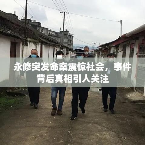 永修突發(fā)命案震驚社會，事件背后真相引人關(guān)注