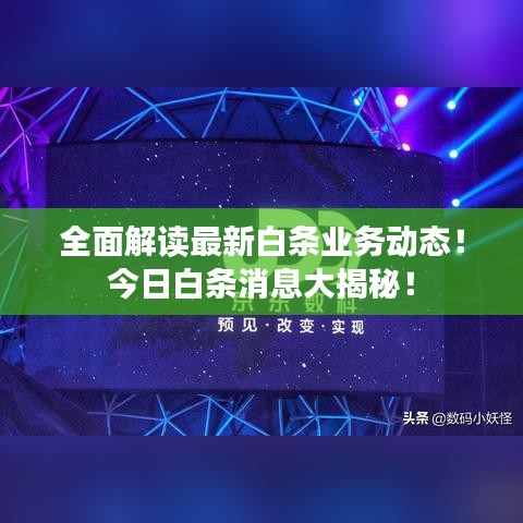 全面解讀最新白條業(yè)務(wù)動態(tài)！今日白條消息大揭秘！