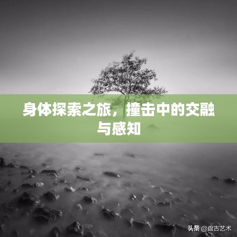 千嬌百媚 第3頁