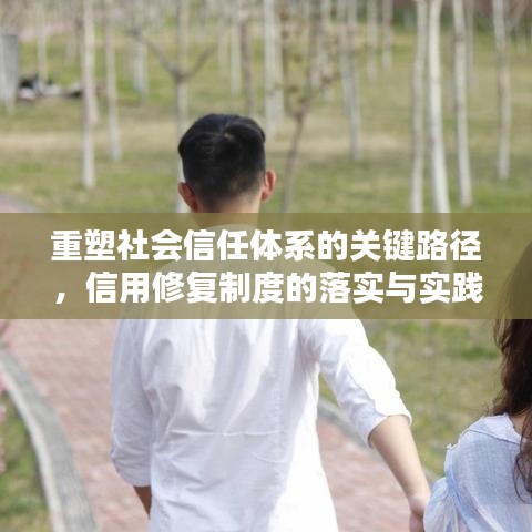 重塑社會(huì)信任體系的關(guān)鍵路徑，信用修復(fù)制度的落實(shí)與實(shí)踐